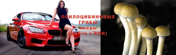 кокс Алексин