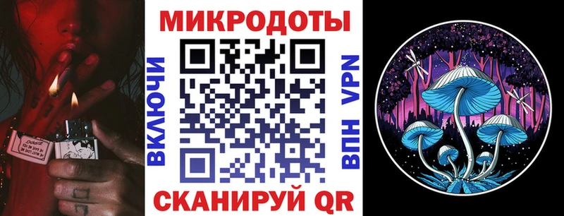 Псилоцибиновые грибы мицелий  blacksprut зеркало  Ноябрьск 